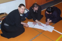 Opole/Grudzień 2013/ Krzysztof Górnicki Sensei 